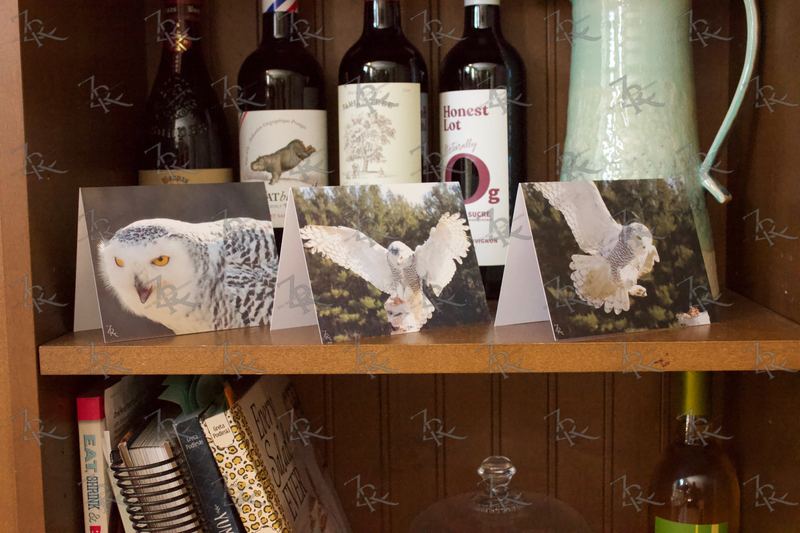 Three snowy owl note cards standing on a shelf
