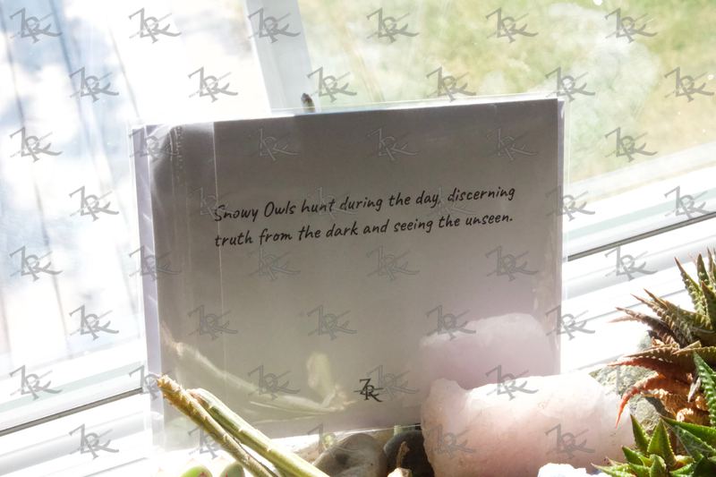 Back of a packaged note card with a line of owl folklore