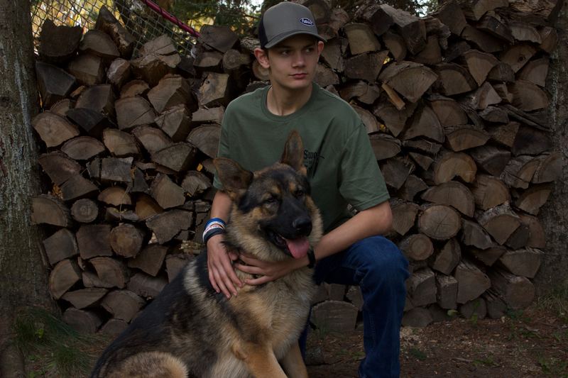 With the dog by the woodpile